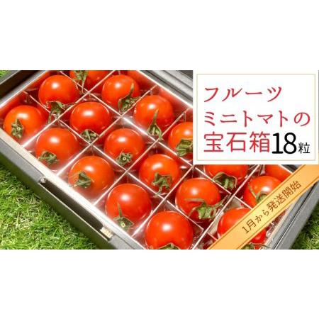 ふるさと納税 フルーツミニトマト の 宝石箱 18粒  野菜 トマト フルーツ ミニトマト フルーツ  茨城県つくばみらい市