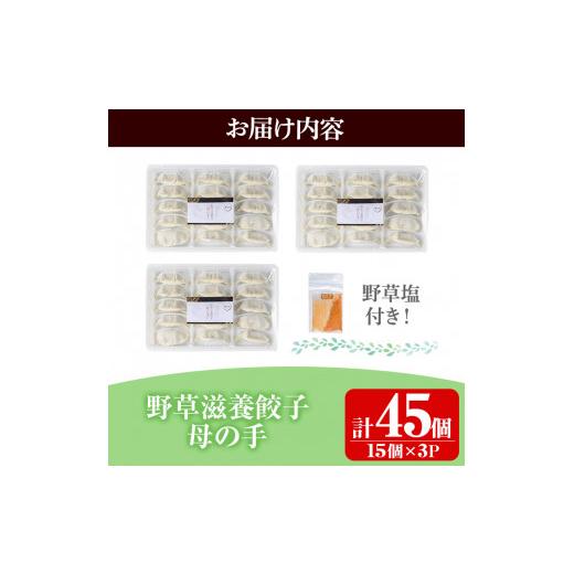 ふるさと納税 鹿児島県 伊佐市 isa426 野草滋養餃子「母の手」(計45個・15個×3P)