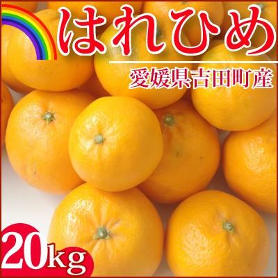 12月14日前後入荷　愛媛産はれひめ２０ｋｇ