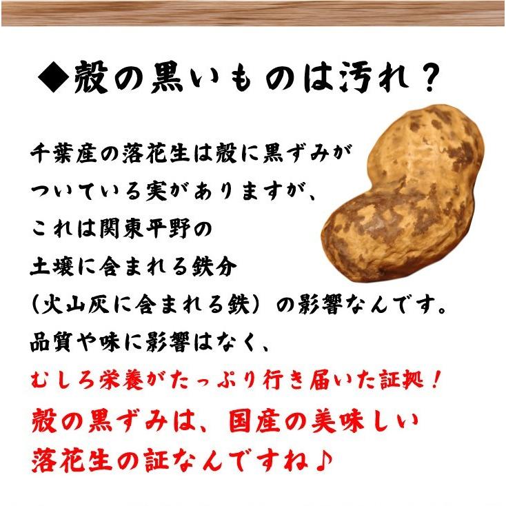 超得クーポン配布中 令和5年新豆スタート 殻付き落花生 千葉県 国産 やちまた産 高級感あるクラフト袋 中手豊品種 120g×4袋 ナッツ 贅沢 酒のつまみ 年末年始