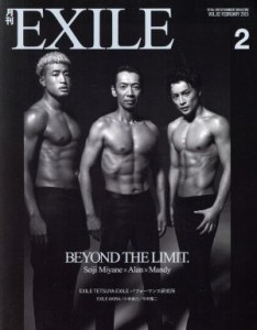  月刊　ＥＸＩＬＥ(２　２０１５) 月刊誌／ＬＤＨ