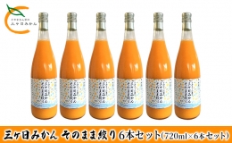 三ヶ日みかん そのまま絞り 6本セット（720ml×6本セット） みかん ジュース 100%