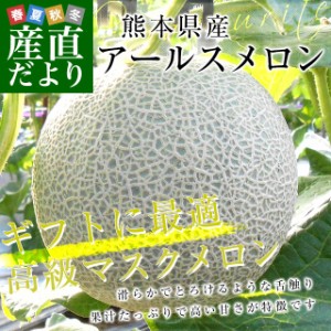 熊本県産 アールスメロン　約3.5キロ 化粧箱(２玉入り) 送料無料 めろん JA熊本市 JA鹿本 JA熊本うき　御歳暮 ギフト