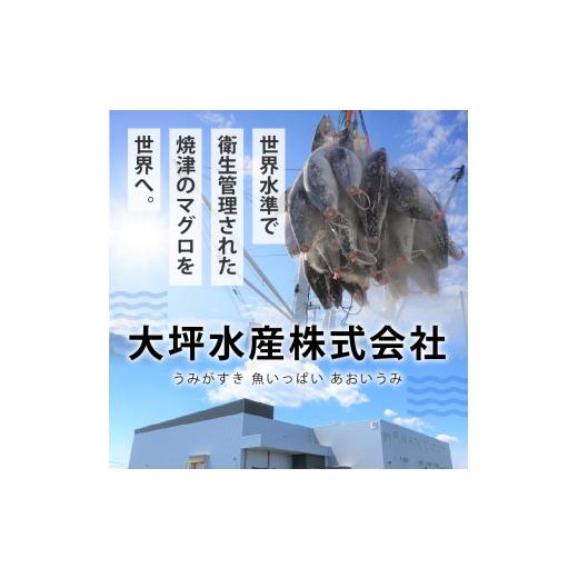 ふるさと納税 静岡県 焼津市 a10-950　焼津の天然まぐろたたき ねぎとろ キハダマグロメバチマグロのみ使用 F6