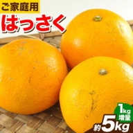 はっさく 八朔 4kg＋1kg 計約5kg サンファーム《1月上旬-3月中旬頃より出荷予定》和歌山県 紀の川市 ご家庭用