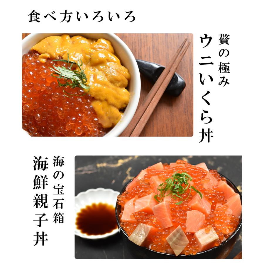 ますいくら 500g お歳暮 御歳暮 2023 プレゼント 250g×2 ギフト お祝い 海鮮丼 手巻き寿司 海鮮丼 イクラ お取り寄せグルメ