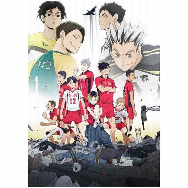 Ova ハイキュー 陸 Vs 空 Dvd アニメーション Dvd 返品種別a 通販 Lineポイント最大0 5 Get Lineショッピング