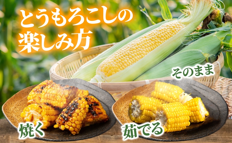 北海道産 とうもろこし 恵味 ゴールド 2L 10本 朝採り めぐみ 玉蜀黍 コーン スイートコーン とうきび 大きめ 甘い 新鮮 旬 もぎたて 産地直送