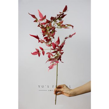 仿真植物天竺葉秋綠色秋紅色手捧花葉材花藝造景家居裝飾花道具