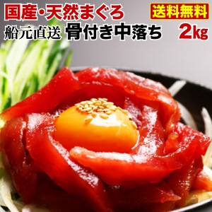 マグロ 刺身 まぐろ 中落ち 赤身 船元直送 送料無料 天然メバチマグロ赤身骨付き中落ち２kg たっぷり5～6人前！海鮮　Y凍