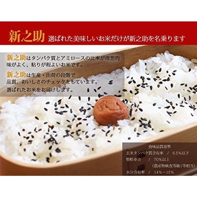 米 令和4年産 新潟産 新之助 10kg (5kg×2) (１等米白米 精米 新潟最高ブランド 精米日の新しいお米です お米 産地直送米