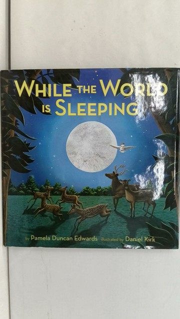 【書寶二手書T1／攝影_Y7U】While the World is Sleeping_Edwards, Pamela Duncan/ Kirk, Daniel (ILT)