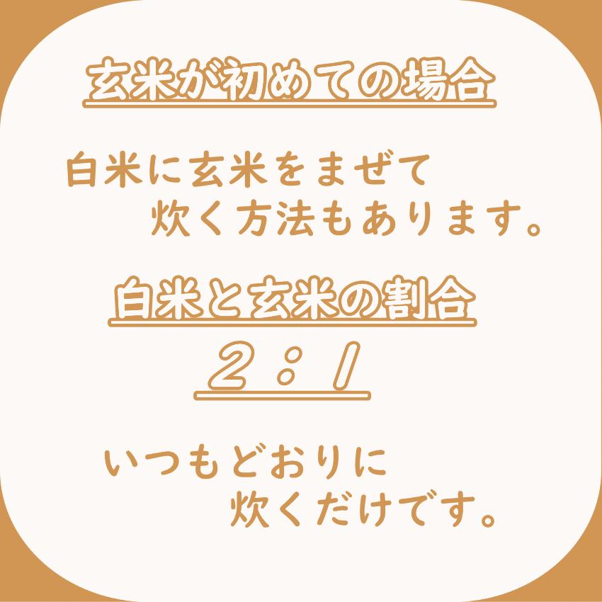 玄米 5kg 毎日の玄米 無洗米 送料無料 ５ｋｇ 国産 米 5キロ