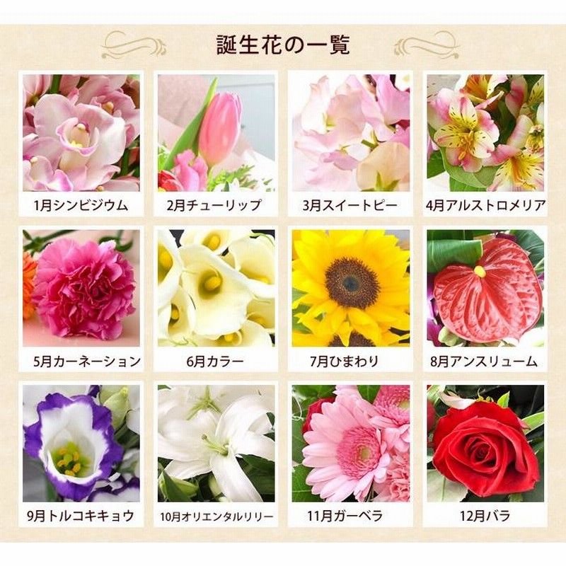 誕生花を使ったアレンジメント 1月はシンビジウム 2月チューリップ 誕生月の生花アレンジ Mサイズ 花 誕生日 プレゼント 祖母 女性 還暦祝い 米寿 喜寿祝い 通販 Lineポイント最大0 5 Get Lineショッピング