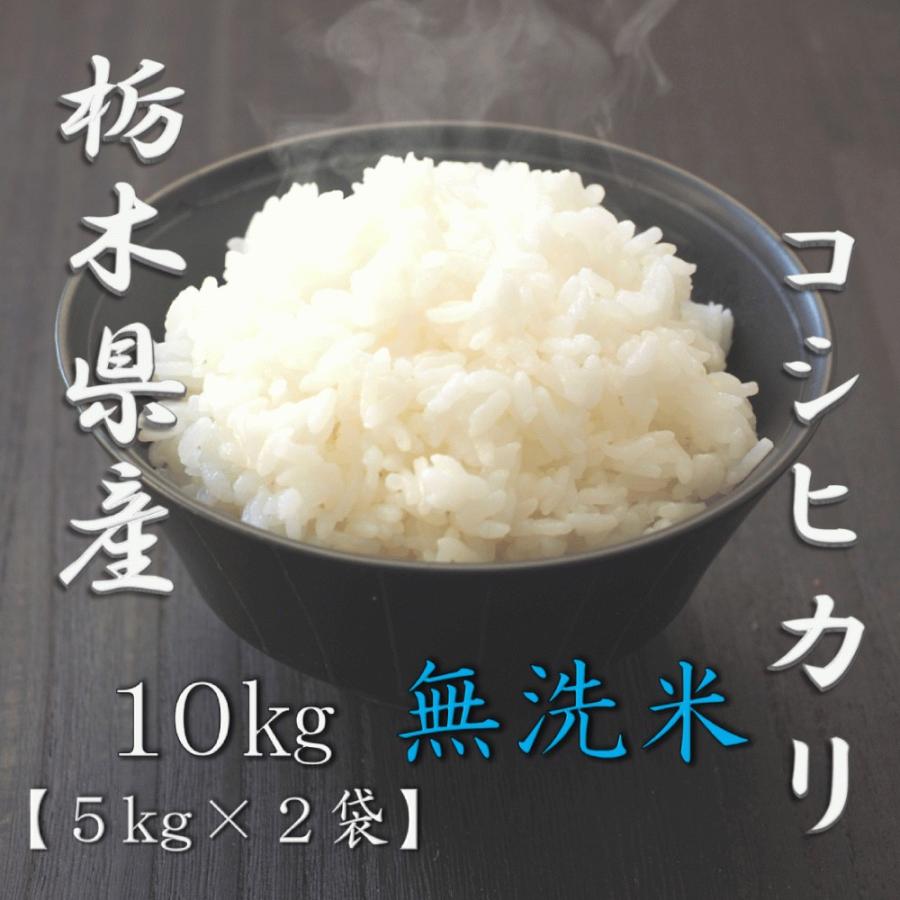 新米 無洗米 栃木県産コシヒカリ 5kg×2個 合計10kg