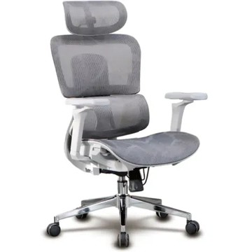 LOGIS邏爵家具－頂級流光人體工學電腦椅(無腳抬) 辦公椅【106AT11-G   106AT11-B】