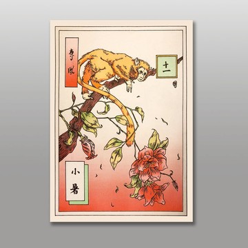 節氣十一-小暑/東風