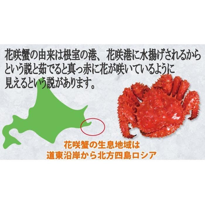 かに　カニ　蟹　花咲ガニ　北海道産　花咲かに (オスメス無選別) 1kg 詰（3尾入)　お歳暮　年末予約受付中！