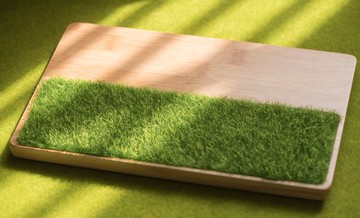 置物盤系列-微風吹過青草地