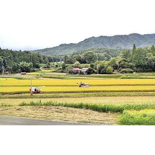 令和5年産　無洗米　お米5kg　島根県仁多米こしひかり　特別栽培米　1等米