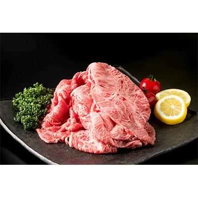 ふるさと納税 有田町 佐賀牛切り落とし肉　500g