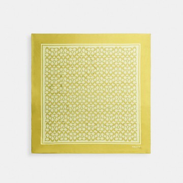經典 SIGNATURE 復古印花真絲方巾