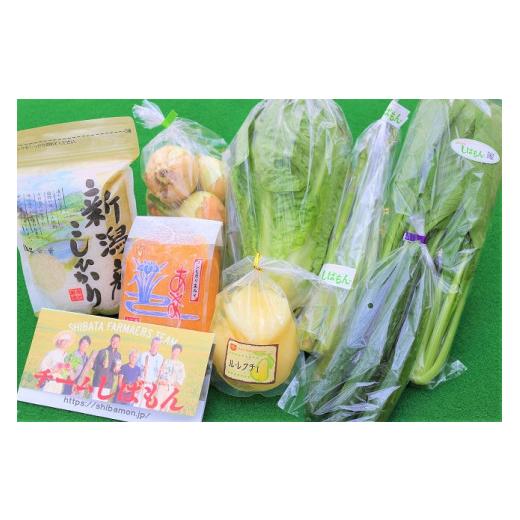 ふるさと納税 新潟県 新発田市 C17  ｔｅａｍしばもん 季節の野菜セット