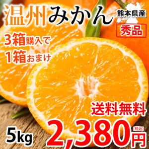 みかん 5kg 送料無料 温州みかん 秀品 3箱購入で1箱おまけ 熊本県産 蜜柑 ミカン