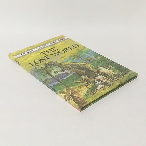 The Lost World（洋書：英語版 中古）