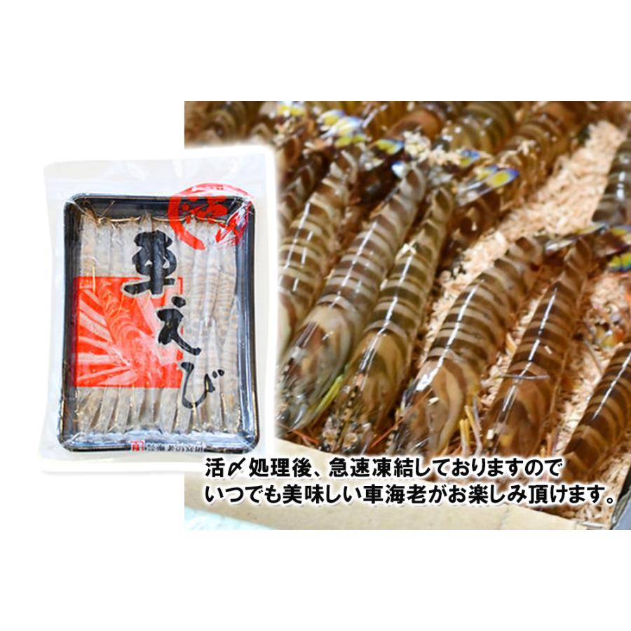 熊本県天草産　活〆　冷凍養殖　車海老（400g）