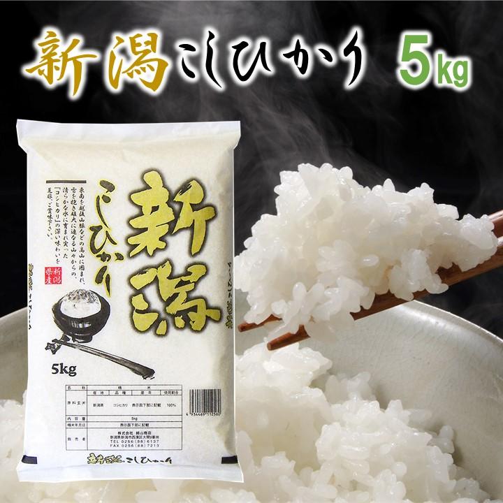 新米 令和5年産 米 5kg 新潟こしひかり 新潟県産 お米 5キロ 白米 コシヒカリ お歳暮 ギフト プレゼント