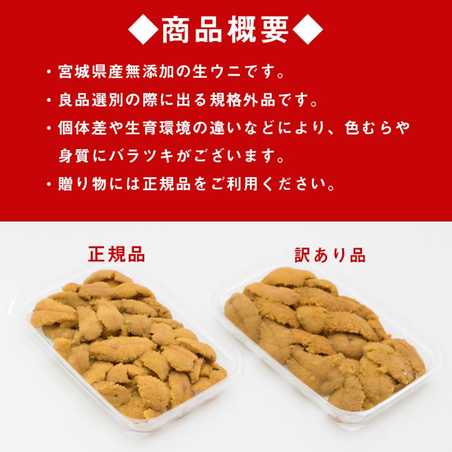 訳あり 氷温熟成 冷凍ウニ (100g×3パック）冷凍