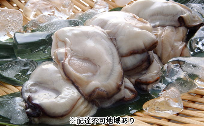 秀栄水産 瀬戸内の 牡蠣 （むき身 500g×2） 海の幸 海のミルク 海鮮 貝 岡山県 瀬戸内市 虫明湾