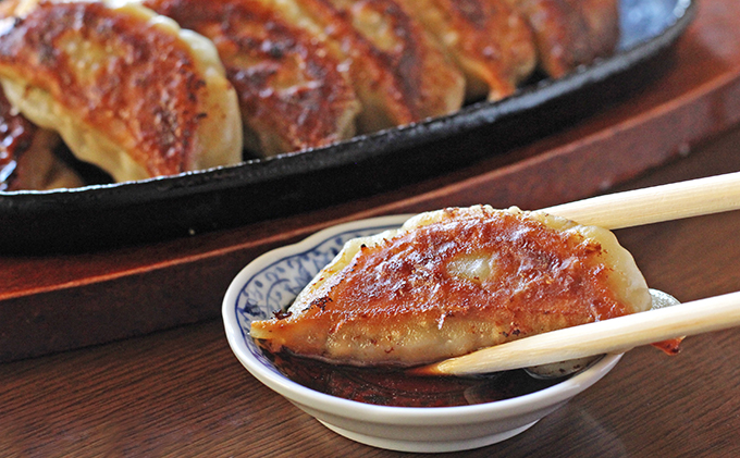 十勝の野菜たっぷり手作り冷凍餃子100個（650g×4袋）