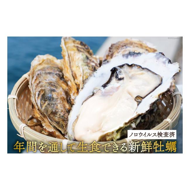 ふるさと納税 宮城県 気仙沼市  牡蠣 3〜4年モノ 生食 殻付き牡蠣 約3kg(約16-18個入) [住喜水産 宮城県 気仙沼市 20562726] 期間限定 冷蔵 新…