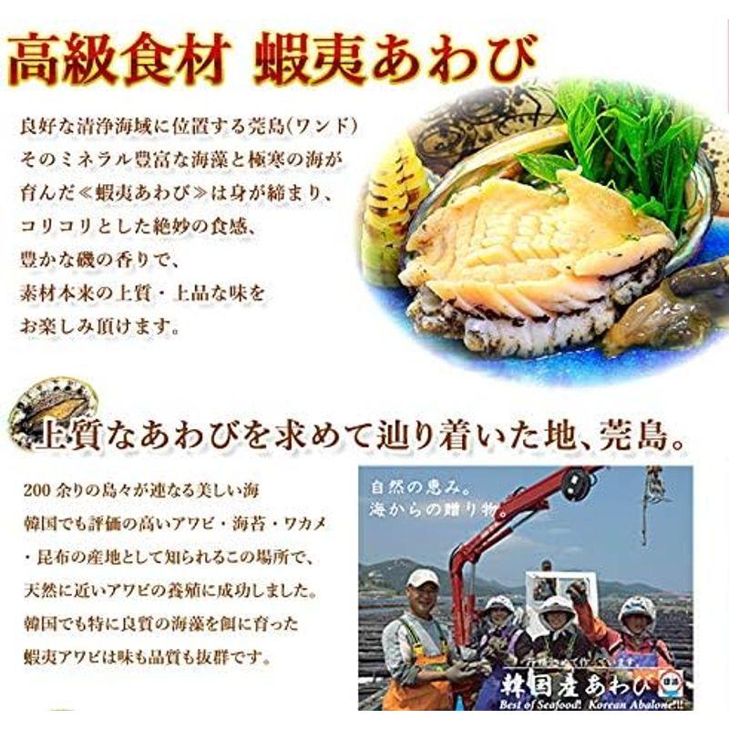 活き蝦夷あわびセット 活き物のため配送日時のご指定をお願いします。 (100 110g 6枚)