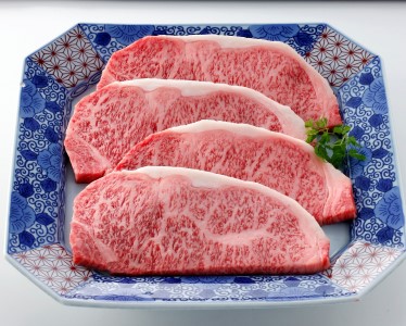 伊万里牛あじわい定期便 6回便 ヒレステーキ 焼肉 すき焼き しゃぶしゃぶ J954