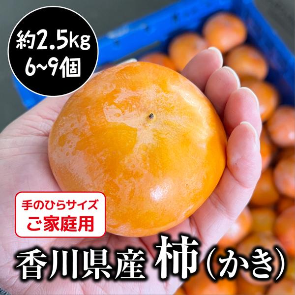 富有柿 訳あり 香川県産 2セット購入で合計約7kgお届け 1セット約2.5kg 香川 柿  高い糖度と食べごたえのある食感