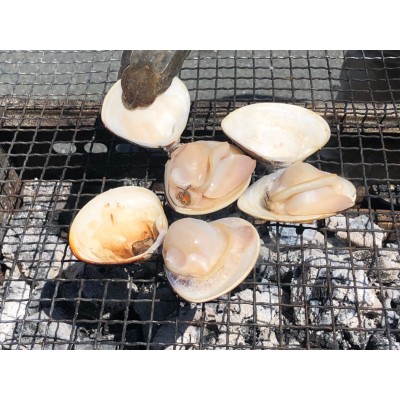 活はまぐり 大サイズ 70ｇ～100ｇ 10～15個 1ｋｇ分 国産 [はまぐり