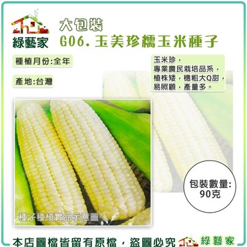 【綠藝家】大包裝G06.糯玉米(玉美珍)種子90克(蔬菜種子)(有藥劑處理) 玉米珍.專業農民栽培品系.植株矮.穗粗大Q