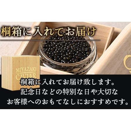 ふるさと納税 ＜クニトミキャビア 日本酒フレーバー 20g（20g×1）＞翌月末迄に順次出荷 宮崎県国富町