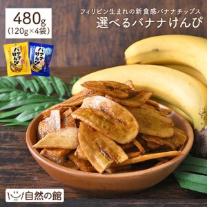 選べるバナナけんぴ 120g×4袋 バナナけんぴ 塩バナナけんぴ けんぴ バナナチップス お菓子 おやつ 家飲み 送料無料 お試し ポイント消化