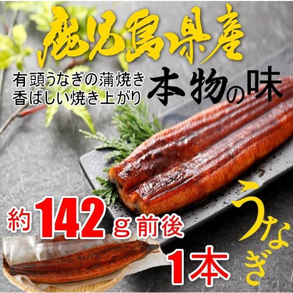 うなぎ蒲焼き１本　きざみうなぎ２食セット　国産　鹿児島県産　送料無料　クール便　ギフト　お中元