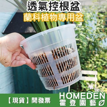【隔日到貨】透氣控根盆 蘭科植物專用盆 觀葉植物專用盆 室內植物 雨林植物 龜背芋 觀音蓮【HOMEDEN霍登園藝】