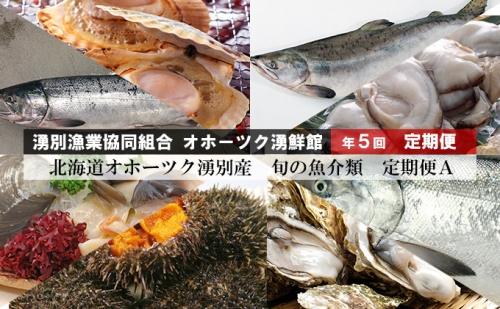 北海道オホーツク湧別産　旬の魚介類　定期便A