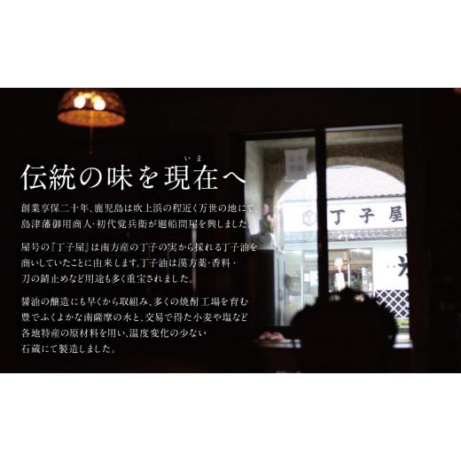 ふるさと納税 鹿児島県 南さつま市 丁子屋のかごしま調味料 詰め合わせ (6種) 贈答用 調味料 醤油 つゆ めんつゆ 酢 お酢 なごみ…