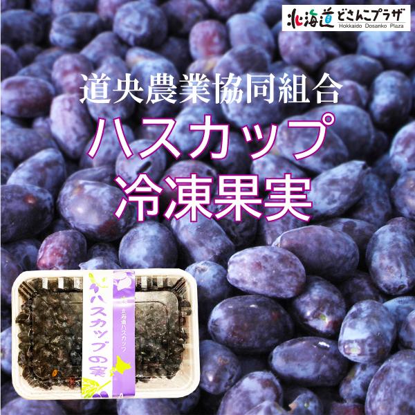 自社出荷 「ハスカップ冷凍果実」冷凍 送料別