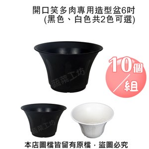 開口笑多肉專用造型盆6吋(黑色、白色共2色可選)10個/組黑色
