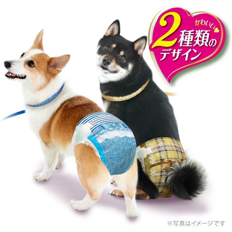 マナーウェア 犬用 おむつ 女の子用 Lサイズ 中型犬用 ベージュ