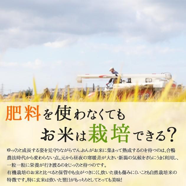 新潟産 コシヒカリ 上野さんちのやさしいお米 5kg　　新潟県産　ギフト　　のし無料　　送料無料　有機JAS認証自然栽培コシヒカリ